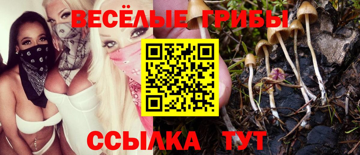 Галлюциногенные грибы MAGIC MUSHROOMS Гусиноозёрск