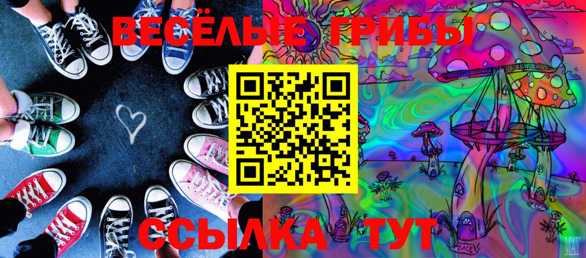 Галлюциногенные грибы прущие грибы  Вход с VPN  Гусиноозёрск  закладки  Галлюциногенные грибы мухоморы 